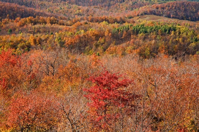 October2006-09.JPG