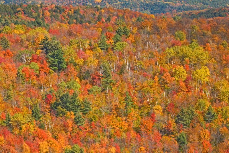 October2006-14.JPG