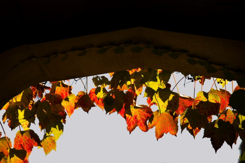 October2006-23.JPG