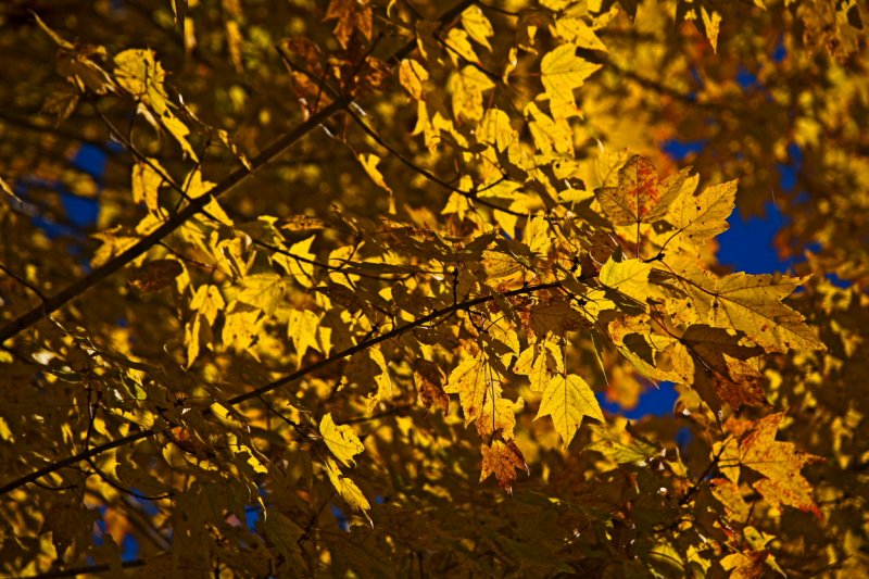 October2006-41.JPG
