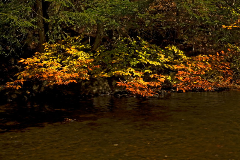 October2006-42.JPG