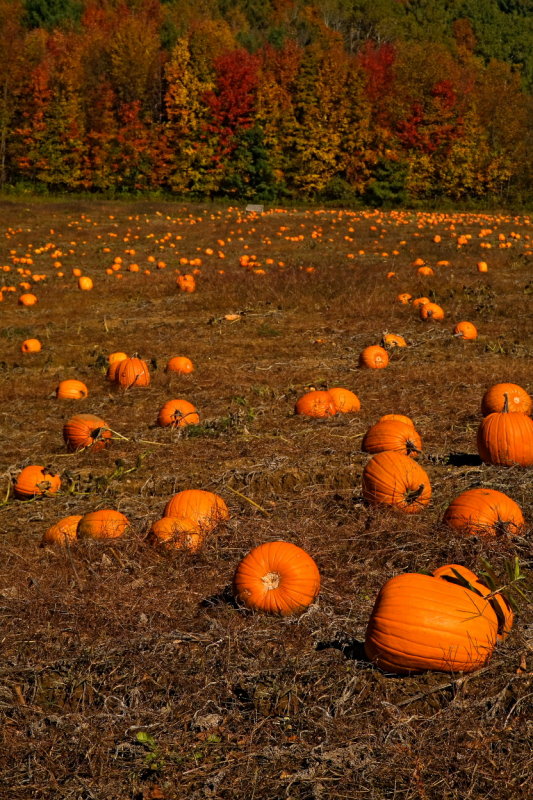 October2006-44.JPG