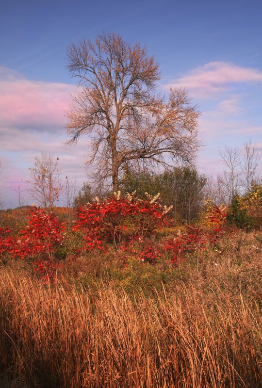 October2006-45.JPG