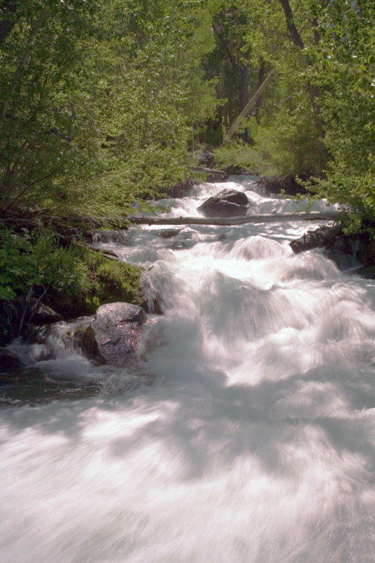 5--McGee Creek-1.jpg