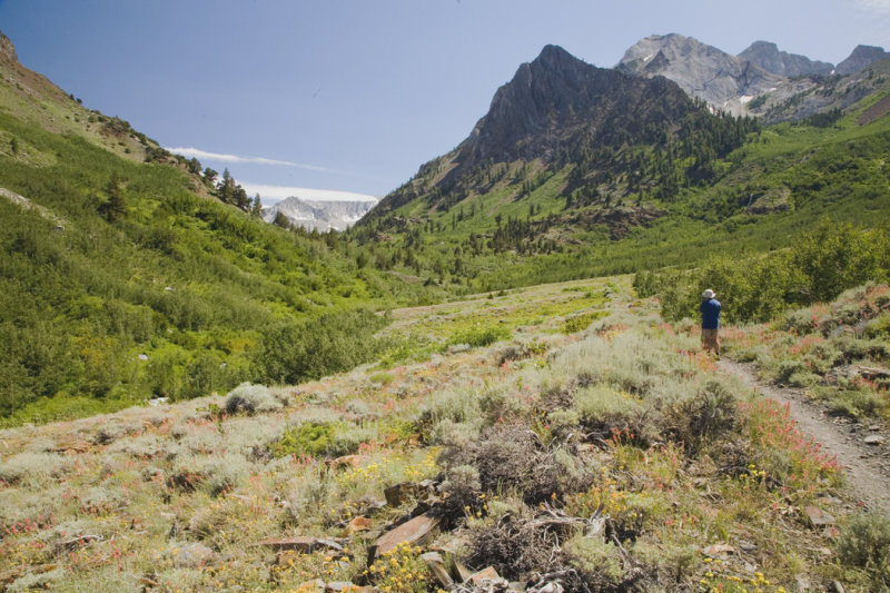 The long trail.jpg