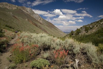 Sierras 2006