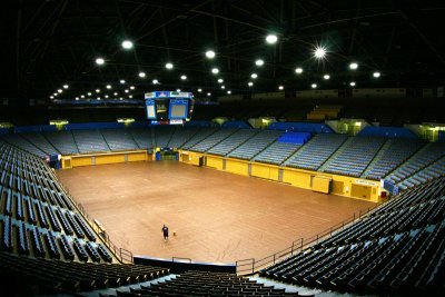 pauley.jpg