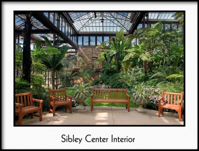 Sibley Merge.jpg
