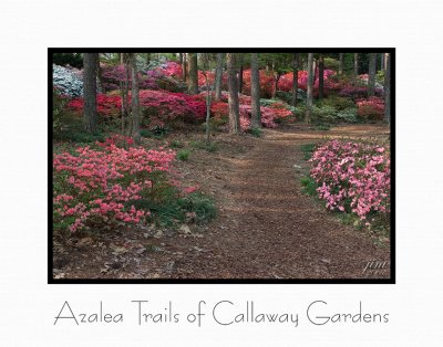 Print Azalea Trails of Callaway Catalogue.jpg