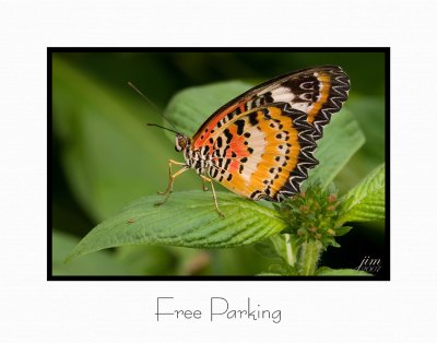 Print Free Parking Catalogue.jpg