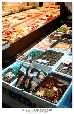 Tokyo 東京 - Tsukiji fresh seafood