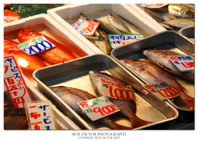 Tokyo 東京 - Tsukiji fresh seafood