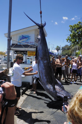 Catch of the Day