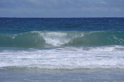 Wave