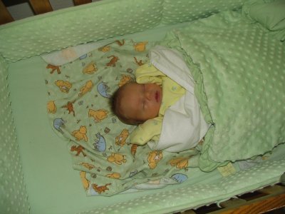 snug as a bug