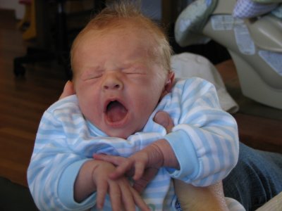 Oh my, what a yawn.