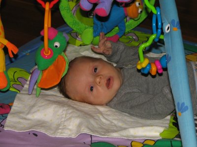 IMG_1646.jpg