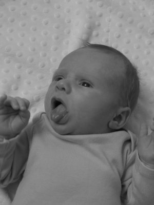 Newborn