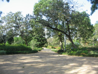 IMG_7361.JPG