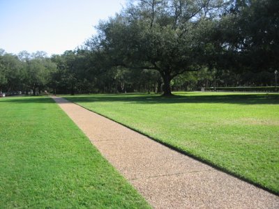 Rice University