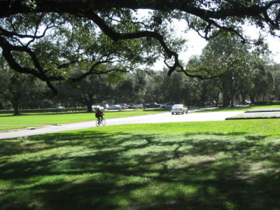 IMG_7433.JPG