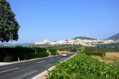 Assisi Ahead