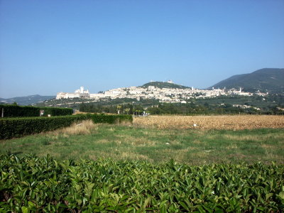 Assisi Ahead