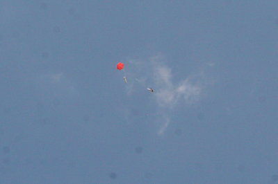 IMG_7763.JPG