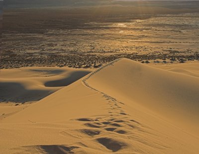 Eureka Dunes at Sunset