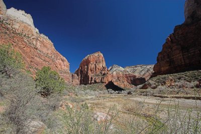 Looking up at Angels Landing