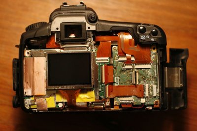 Camera body, back cover removed.