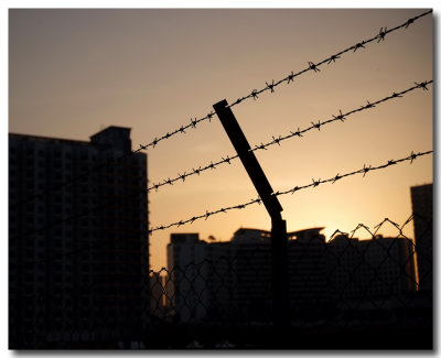 barbed wire 2.jpg
