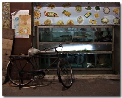 bicycle outside dragon gate.jpg