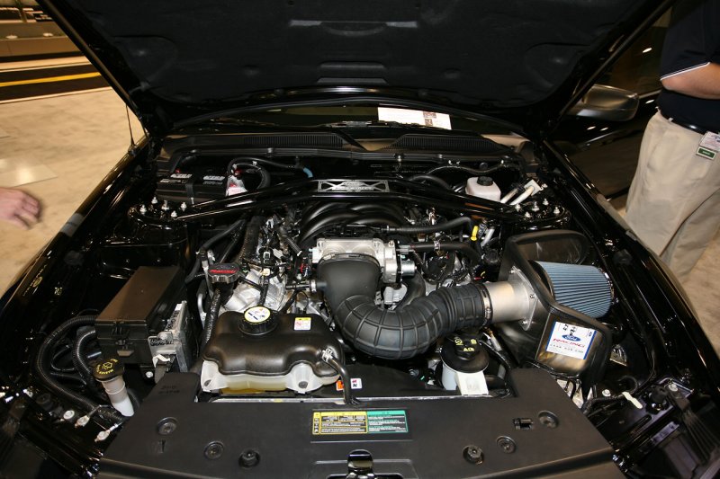4.6L V8