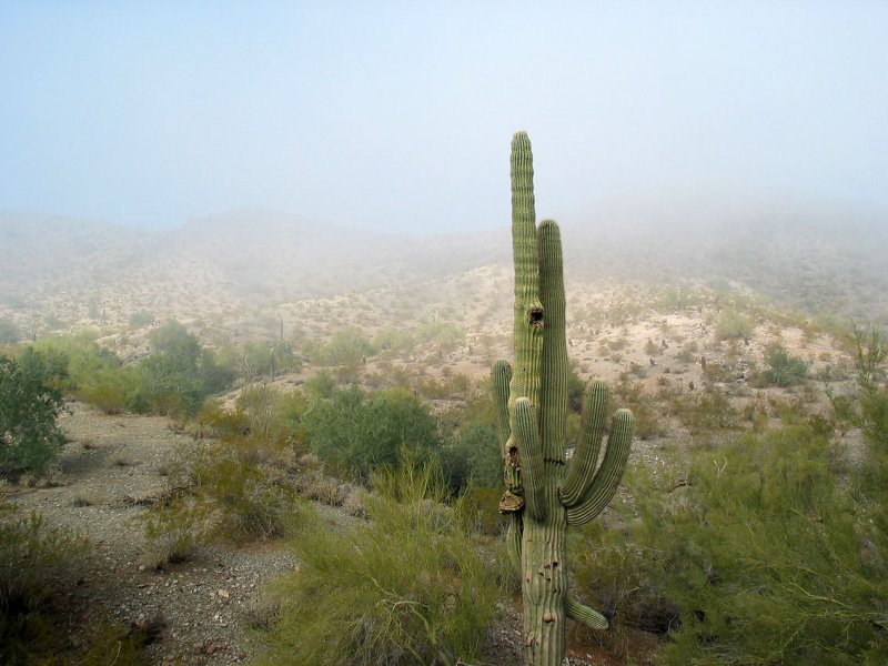 South Mountain Park - Phoenix, Arizona