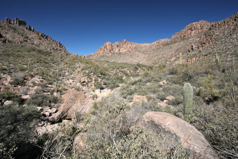 Peralta Trail and Weaver's Needle