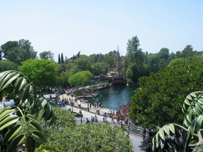 VIew from Tarzan's Treehouse