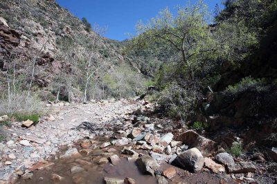 Crossing Creek Just Before Mine