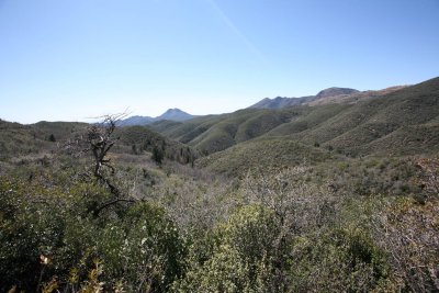 Past Mine