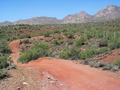 Arizona State Lands