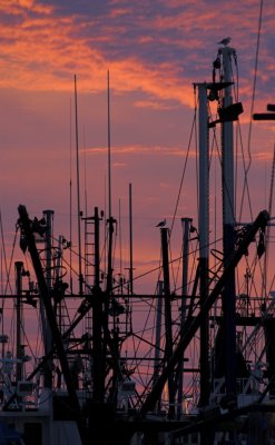 New Bedford Fishing Fleet Masts