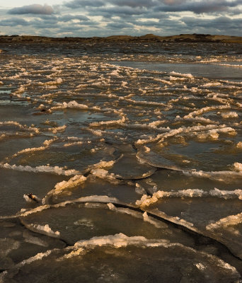 Provincetown Ice Plates