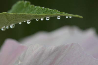 _MG_2399-01.jpg