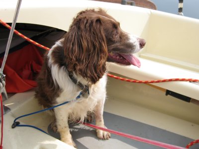 Sailing on a Misty April Day