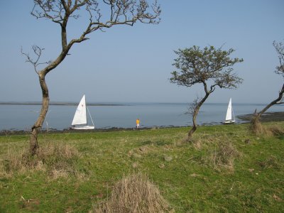 Sailing on a Misty April Day