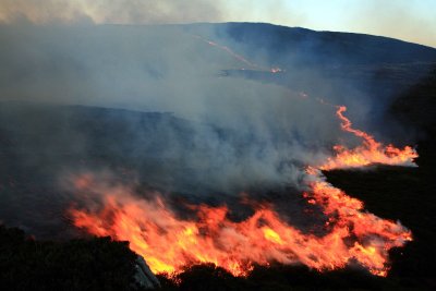 Horn Head Heather Fire