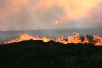 Gorse Fire on Horn Head.jpg