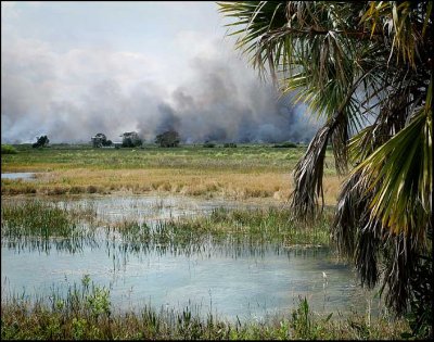Everglades On Fire