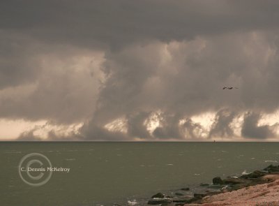 Cold front
