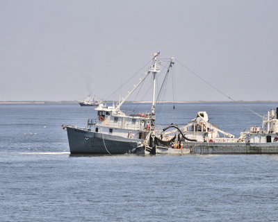 g6/63/609263/3/90229183.R5E4RT7t.jpg